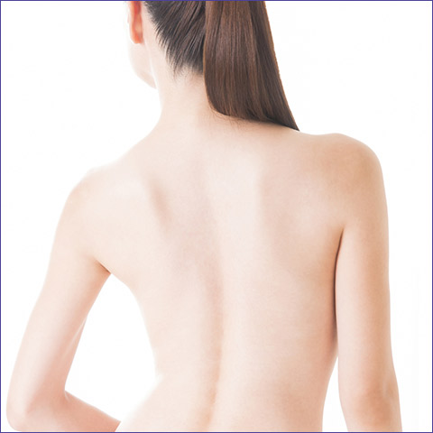 医療機器 テラシード